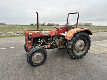 Traktor MASSEY FERGUSON