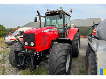 Traktor MASSEY FERGUSON 6497