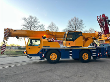 Autožeriav Liebherr LTM 1040-2.1 (06 - 051 534) Tauschmotor: obrázok 5