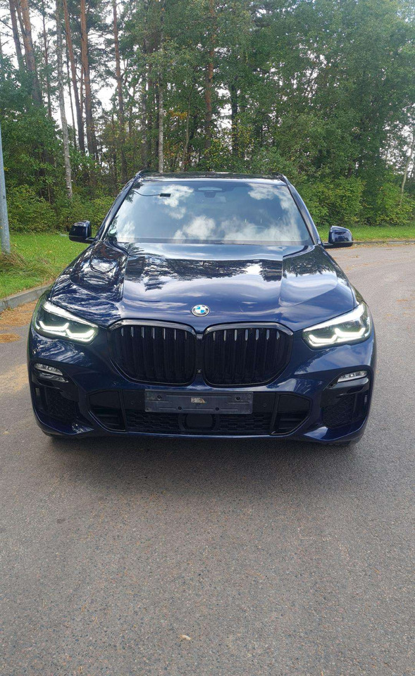 Automobil BMW X5: obrázok 8